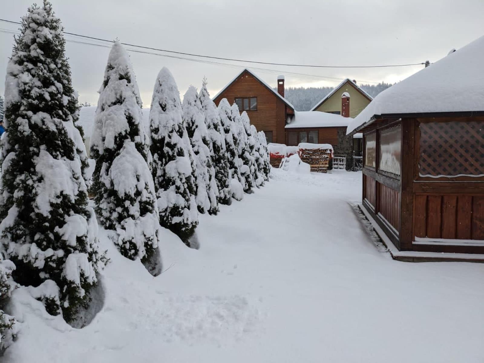 Hotel Aura Karpat Bukoveľ Exteriér fotografie