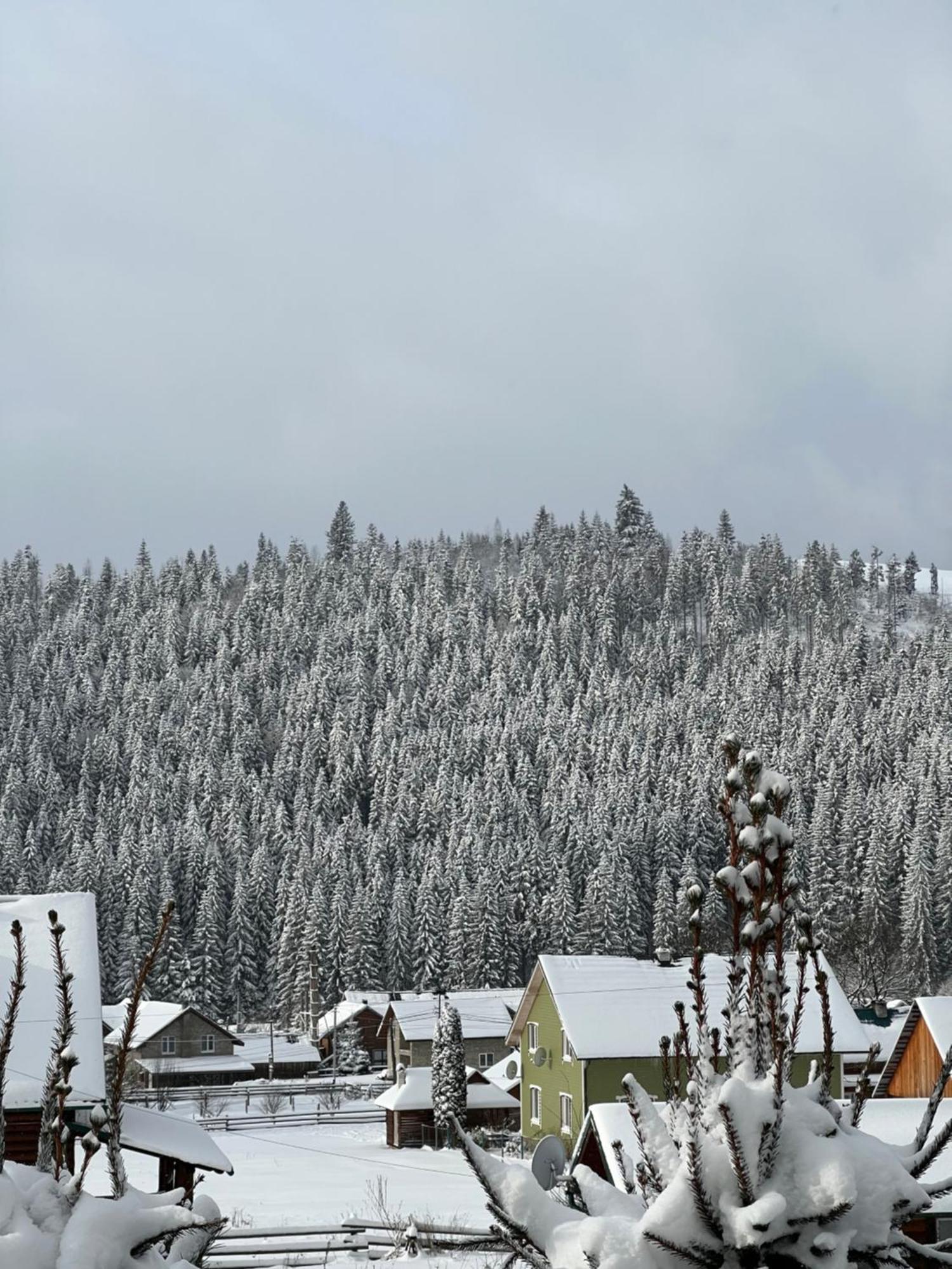 Hotel Aura Karpat Bukoveľ Exteriér fotografie